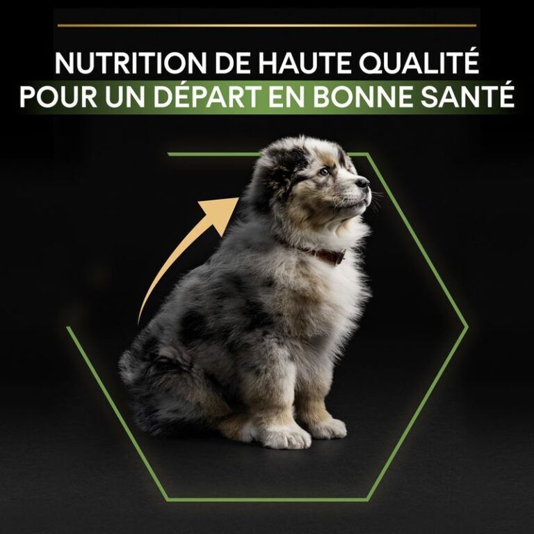 Pro Plan Medium Puppy Healthy Start Pour Chien Au Poulet