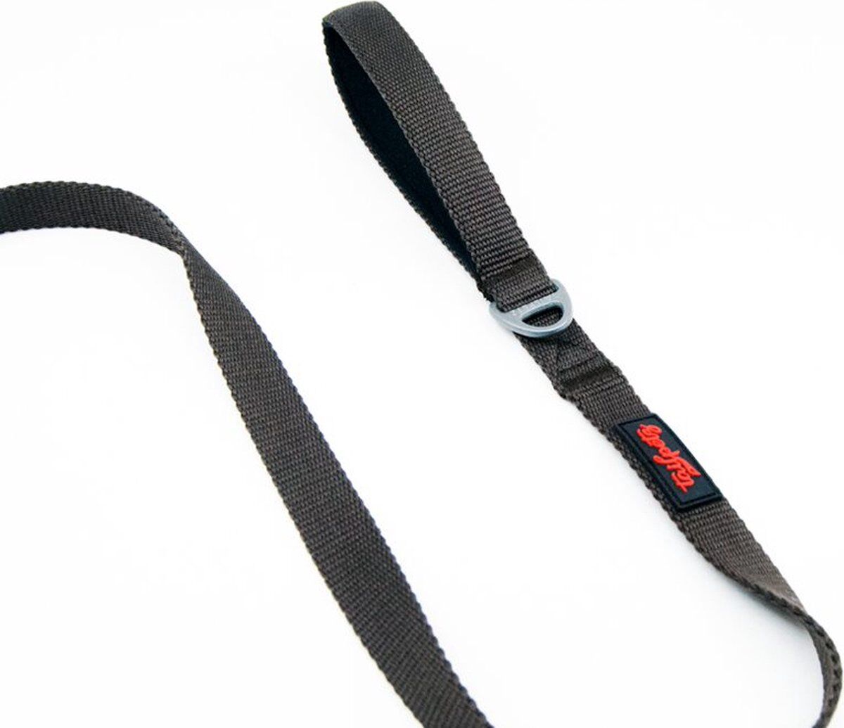 Laisse Brown Match Pour Animaux
