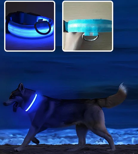 Collier Chien Lumineux Taille M
