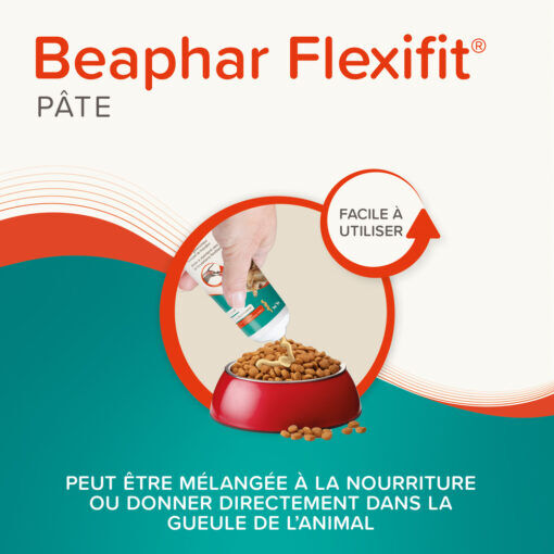 Pâte Articulations Pour Chien Et Chat Flexifit