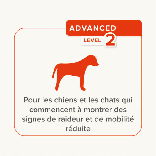Pâte Articulations Pour Chien Et Chat Flexifit thumbnail 3
