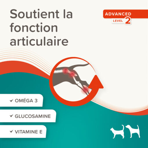 Pâte Articulations Pour Chien Et Chat Flexifit thumbnail 4