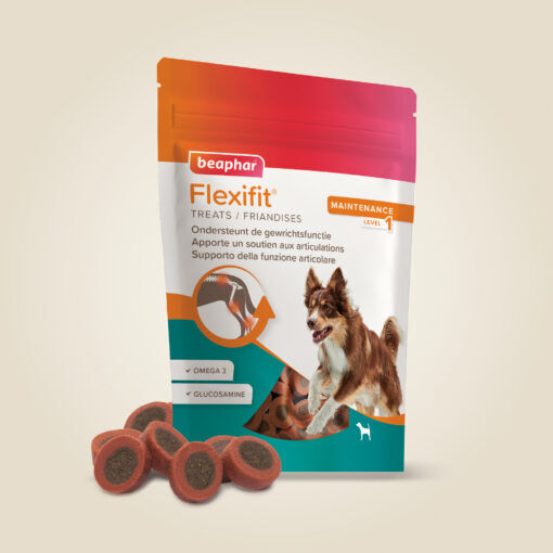 Flexifit Friandises Chien