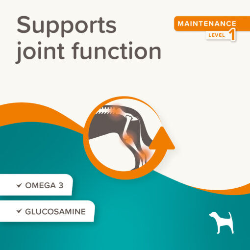 Flexifit Friandises Chien thumbnail 3