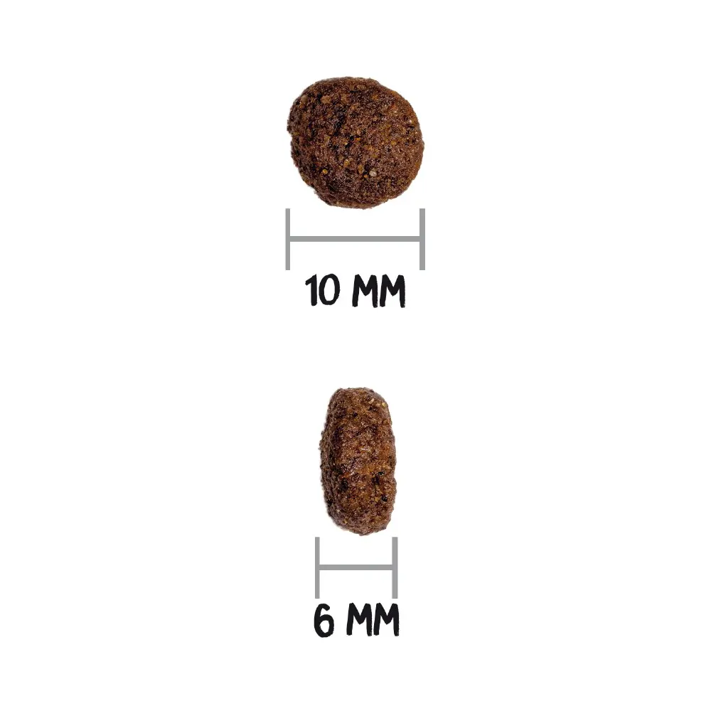 Prime Grain Free Mini Adult Chicken &amp; Turkey  thumbnail 3