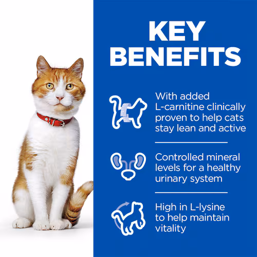 Science Plan Croquettes Pour Chat Stérilisé Au Saumon thumbnail 3