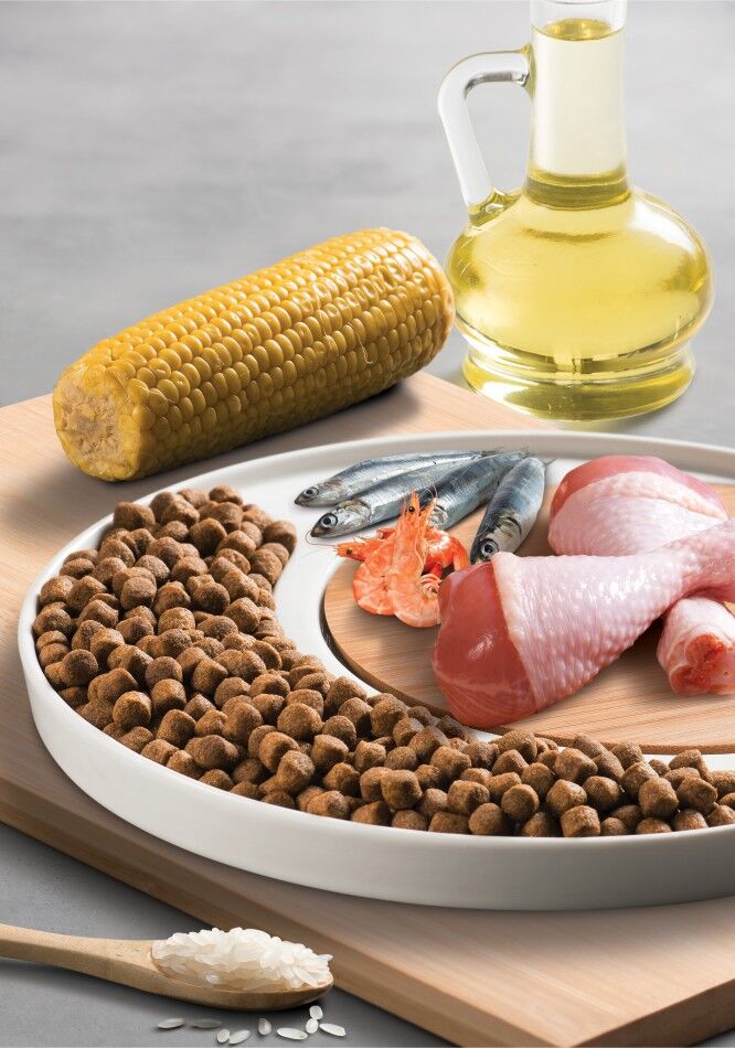 Croquettes Pour Chiens Adultes Au Poulet 15kg