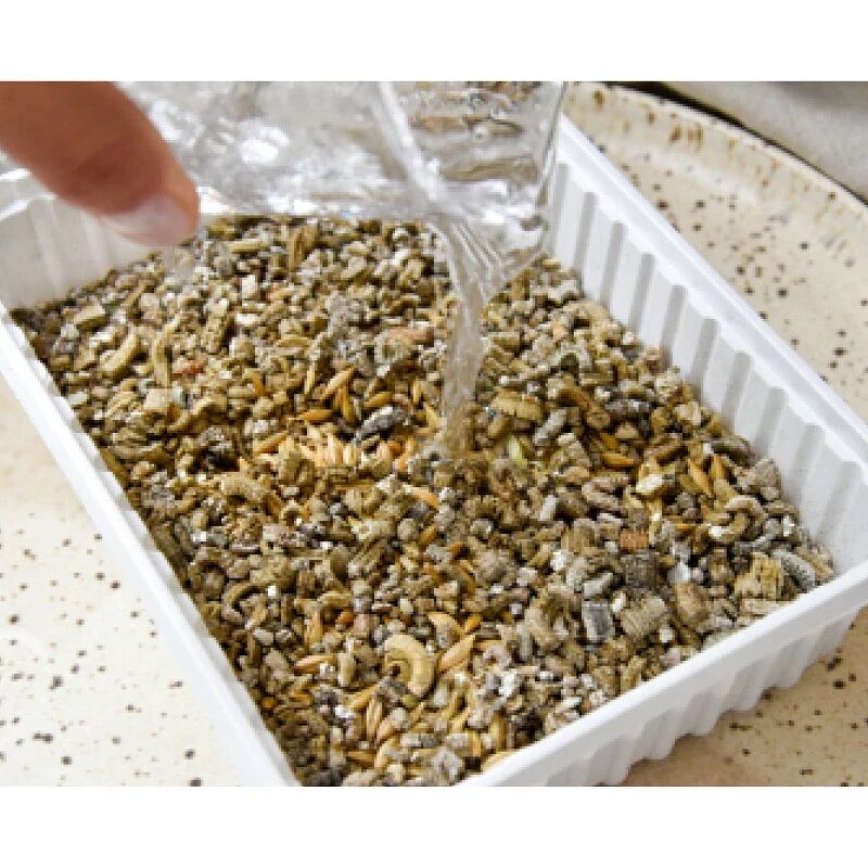 Herbes À Chats Avec Graines D’herbe D’orge Naturelle 150g thumbnail 4