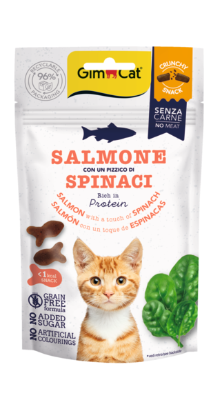 Saumon Avec Une Touche D’épinards