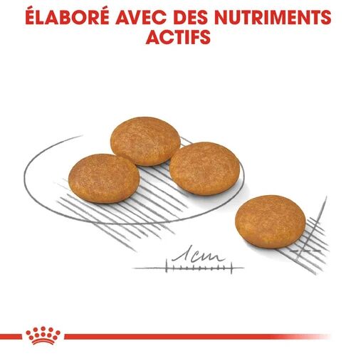 Aliment Sec Chien Mini Dermacomfort 3 Kg