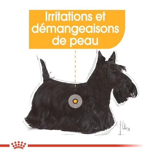 Royal Canin Aliment Sec Chien Mini Dermacomfort 3 Kg thumbnail 3