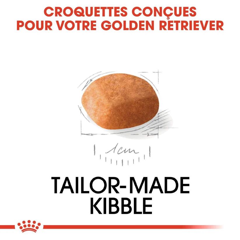 Croquettes Chiot Golden Retriever