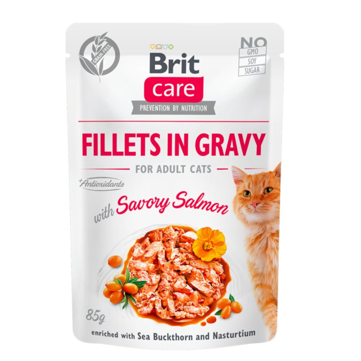 Pochons En Sauce Pour Chat Savory Salmon (saumon)