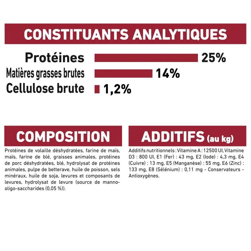 Croquettes Chien Medium Adult