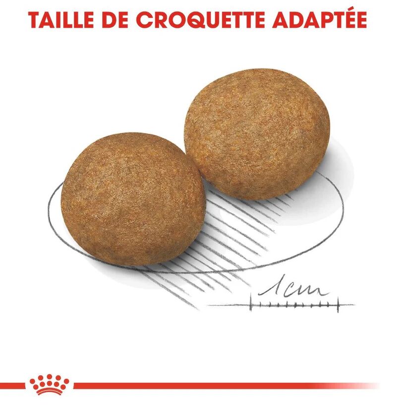 Croquettes Chien Medium Adult thumbnail 4