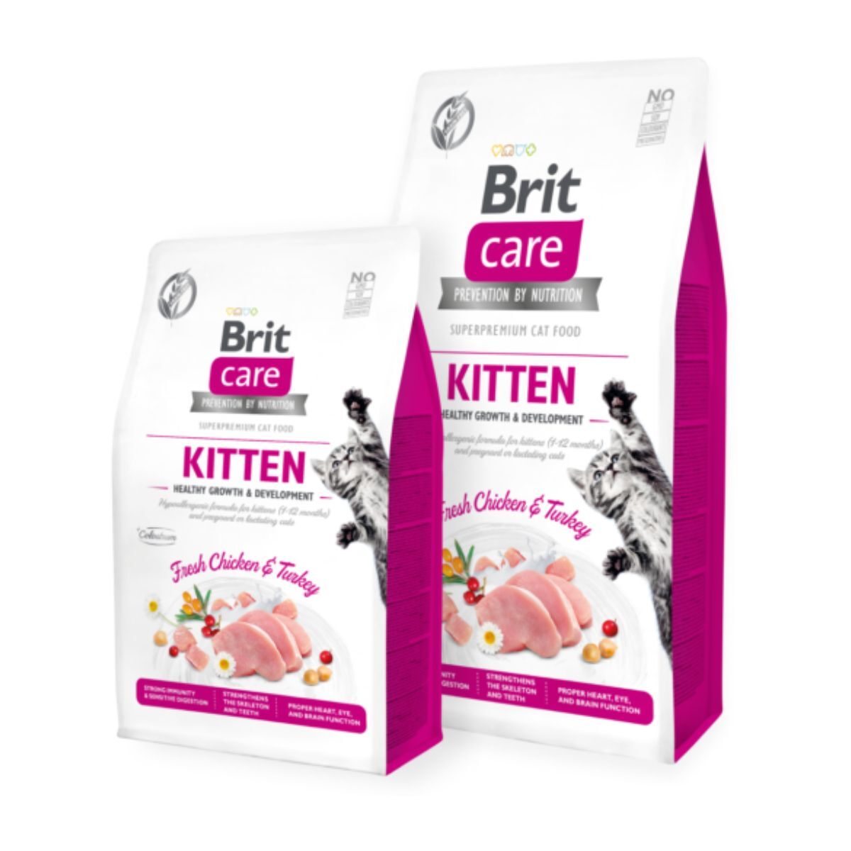 Croquettes Chaton Healthy Growth & Development