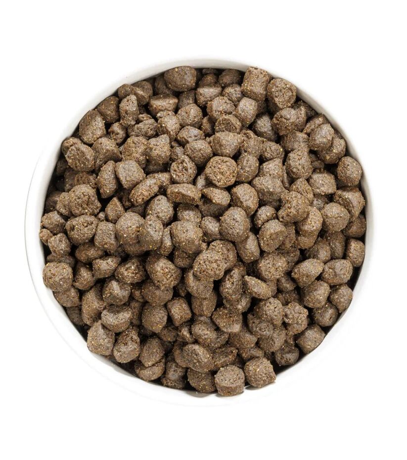 Croquettes Chien Adult Grain Free Oily Fish thumbnail 3