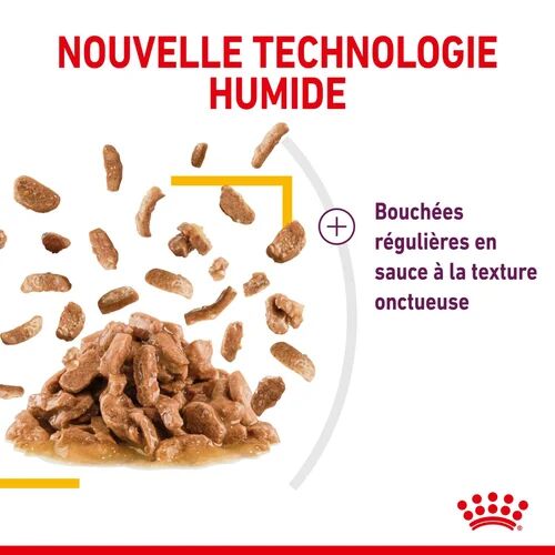 Royal Canin Aliment Humide Chat Sensory™ Taste En Sauce 85 G thumbnail 4