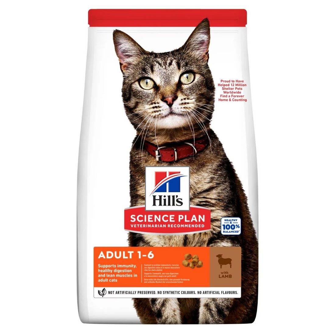 Hills Science Plan Aliment Sec Pour Chat Adulte (1-6) - Agneau 1,5 Kg thumbnail 3