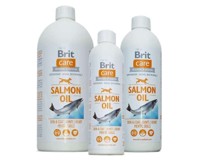 Huile De Saumon Pour Chiens Et Chats