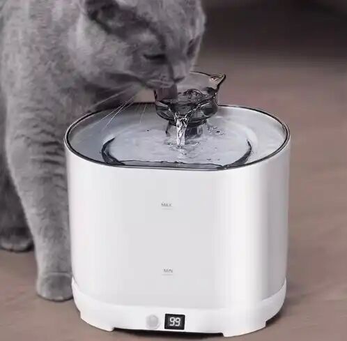 Fontaine À Eau Automatique Pour Chat Et Chien