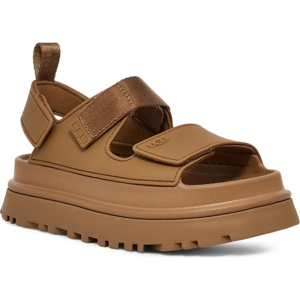 Goldenglow Bison Brown