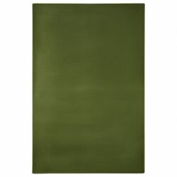 Tapis Moderne Palmo Vert