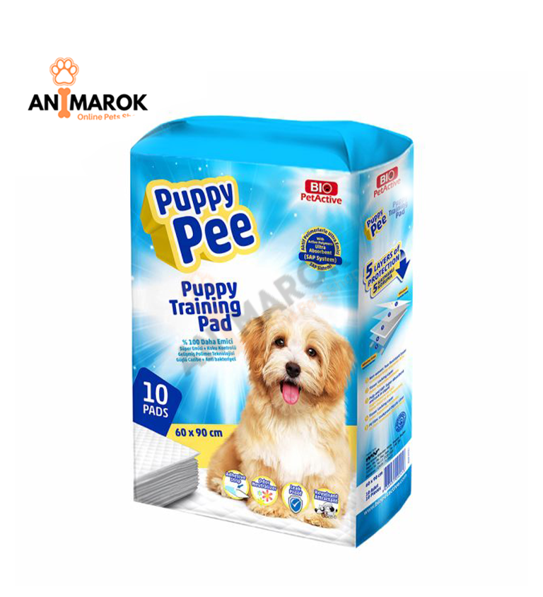 Tapis Pipi Ultra Absorbant Pour Chien