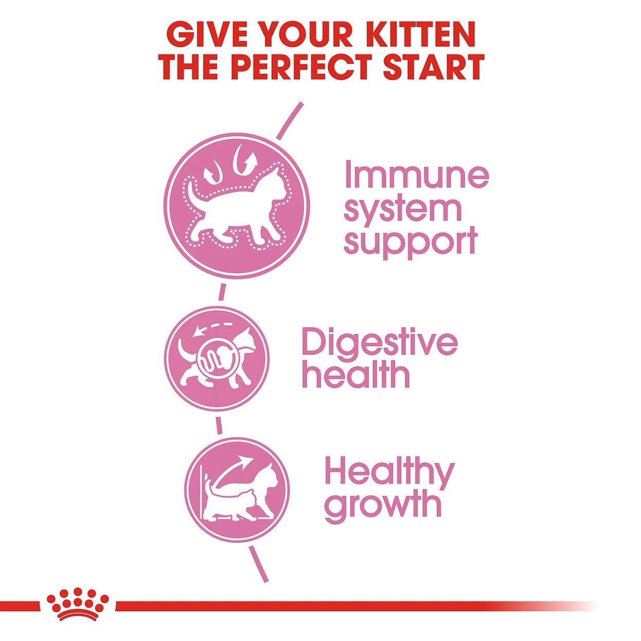 Royal Canin Kitten 4kg thumbnail 3