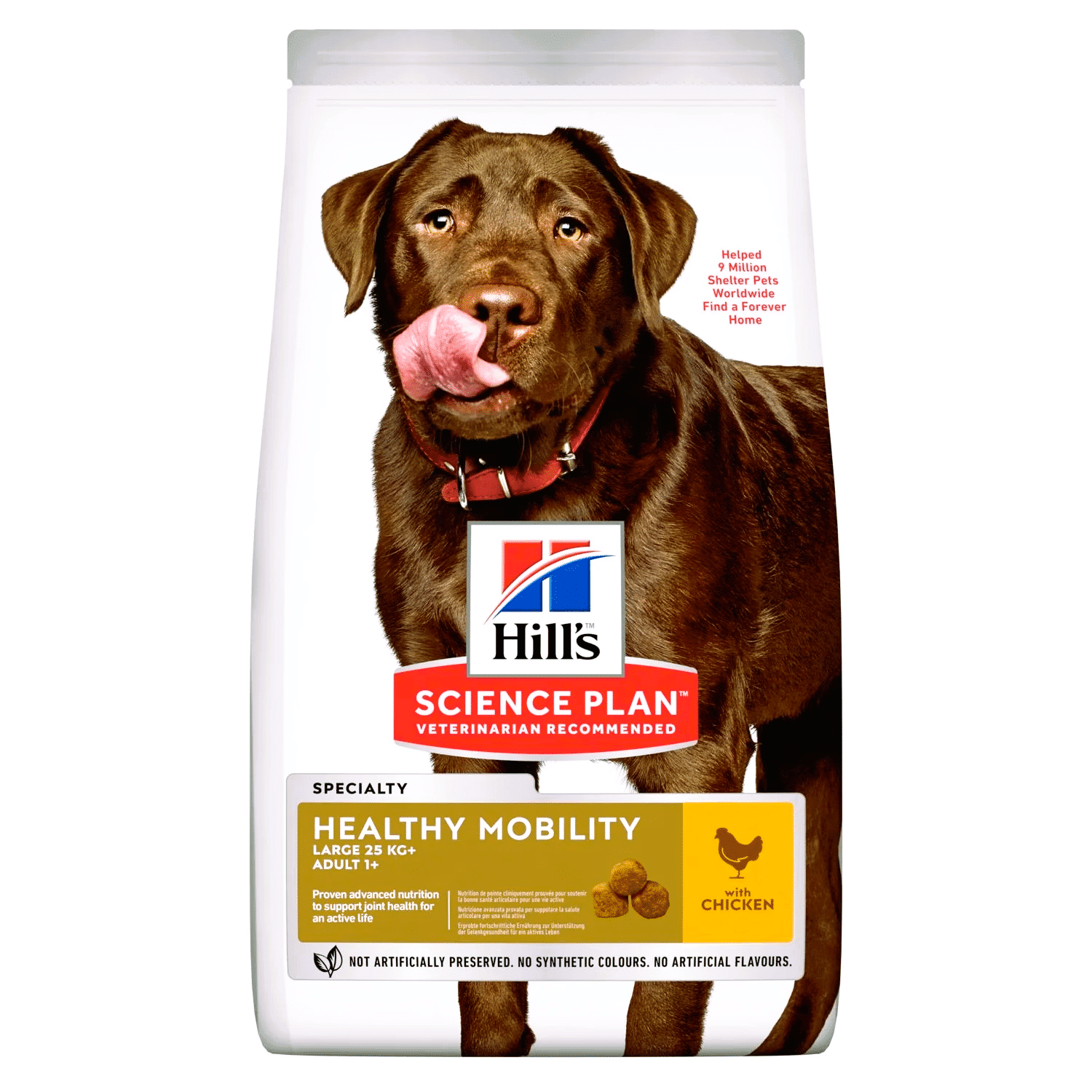 Croquettes Chien Large Breed Adult Healthy Mobility – Poulet