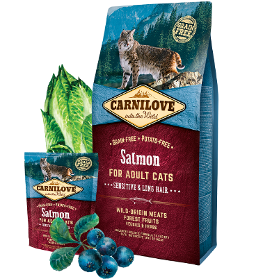 Croquettes Cat Salmon Sensitive – Digestion Sensible, Poil Long
