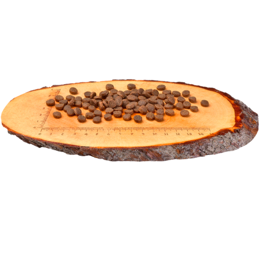 Croquettes Cat Salmon Sensitive – Digestion Sensible, Poil Long