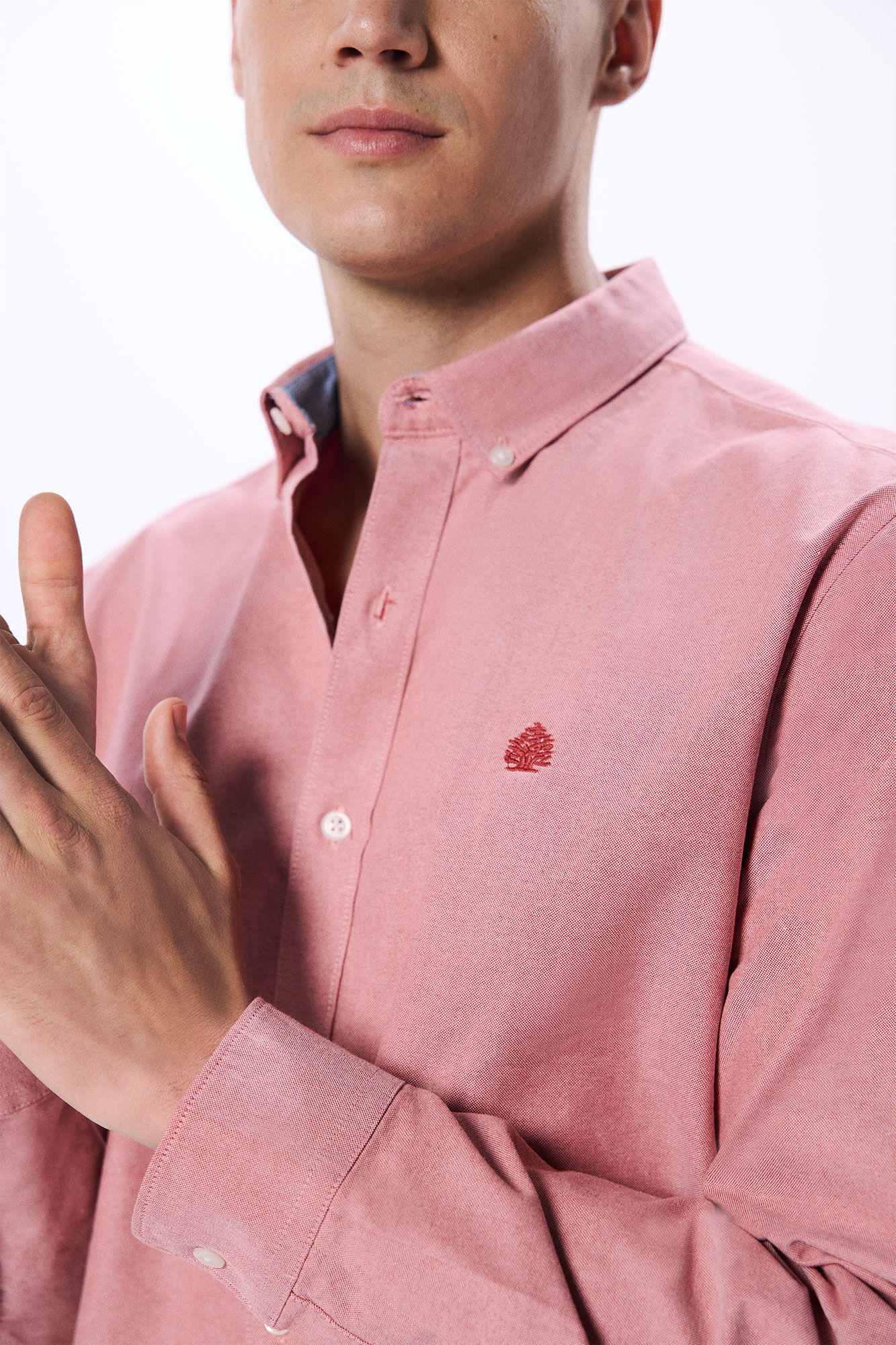 Chemise Oxford thumbnail 3