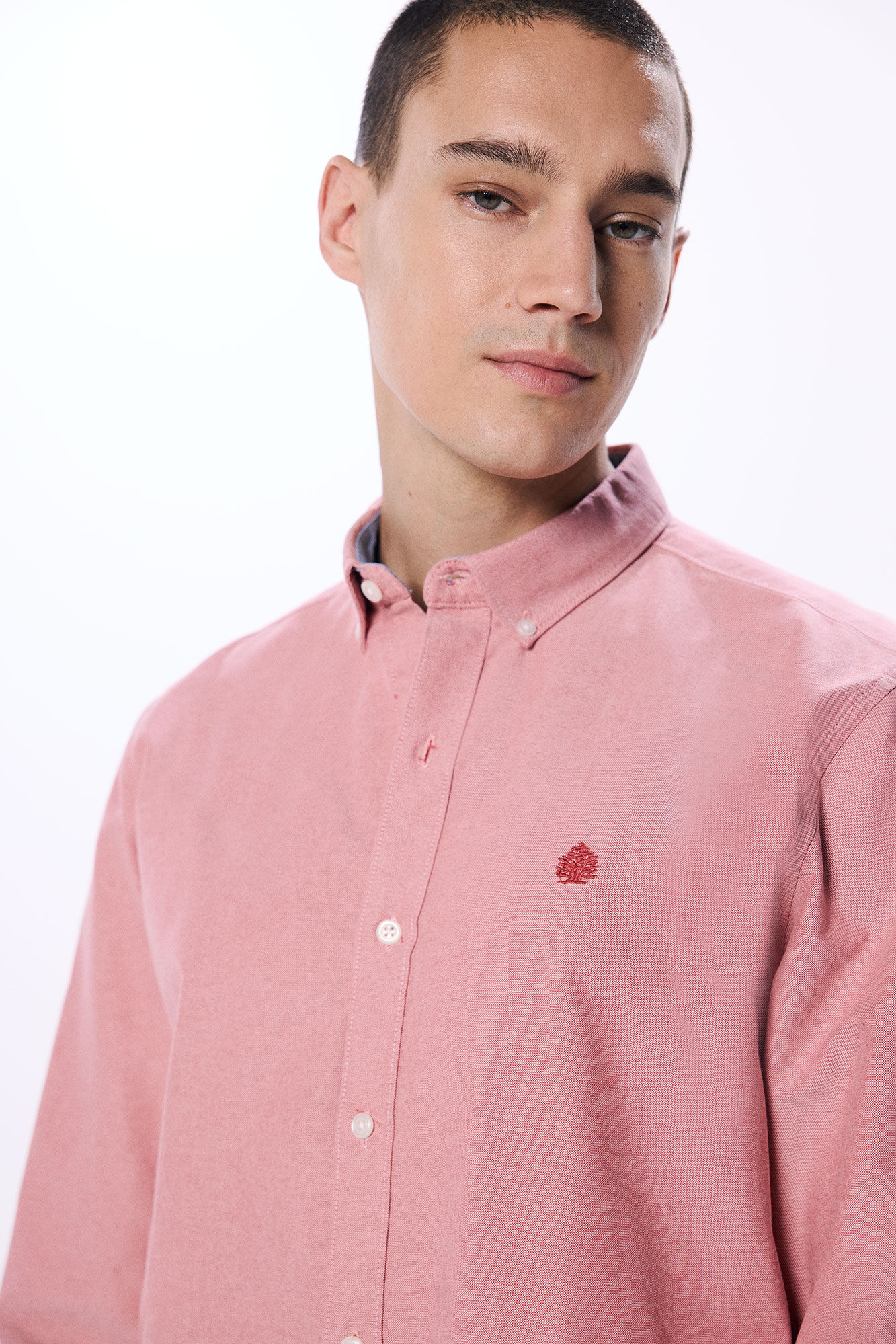 Chemise Oxford thumbnail 4