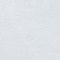 Chemise thumbnail 3