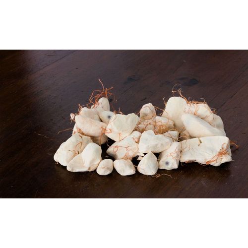 Fersan Graine De Pure, 50 G, Riche En Fibres, Vitamine C, En Calcium, Magnésium, Potassium thumbnail 3