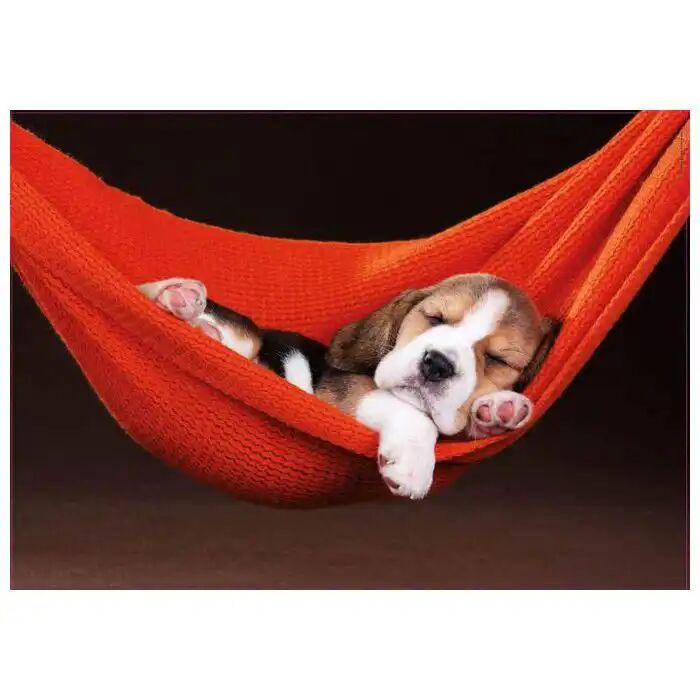 Puzzle - Chiot Sieste Dans Un Hamac - 500 Pièces - 48 X 34 Cm thumbnail 3