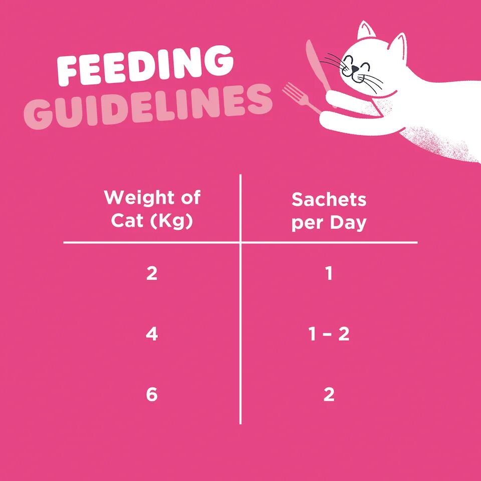 Lick-e-lix Gâteries Pour Chats - Saumon