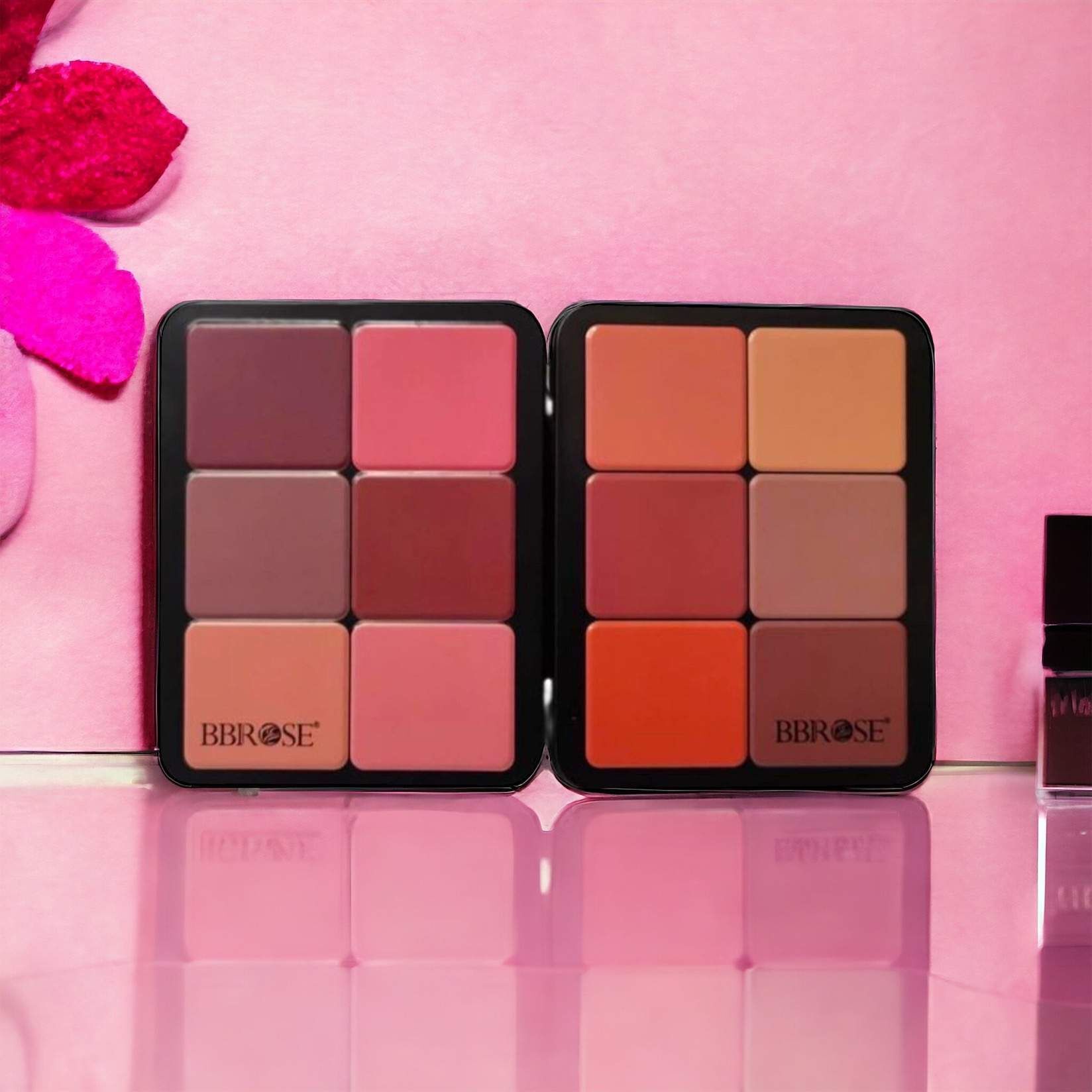 Palette Blush E Paupières 12 Couleurs