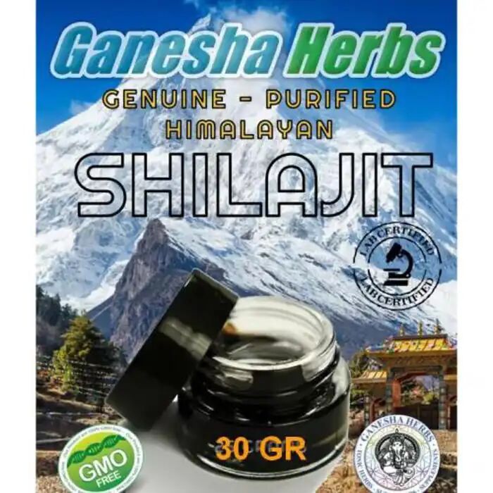 Shilajit Pur 100% Résine Himalaya Certifiée Bio 30 G