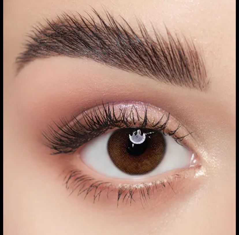 Lentilles 52 Royal Toffe 3mois
