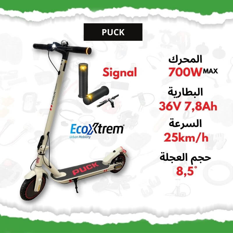 Trottinette Électrique Puck 7.8ah Ecoxtrem
