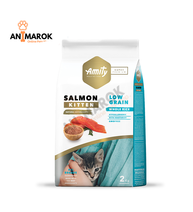 Amity Kitten Saumon