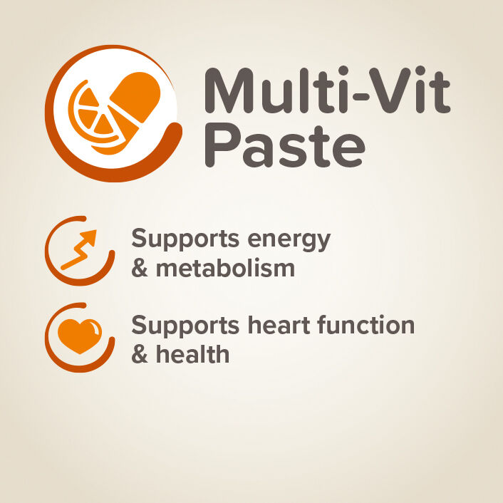 Pâte Multivitaminée Pour Chien