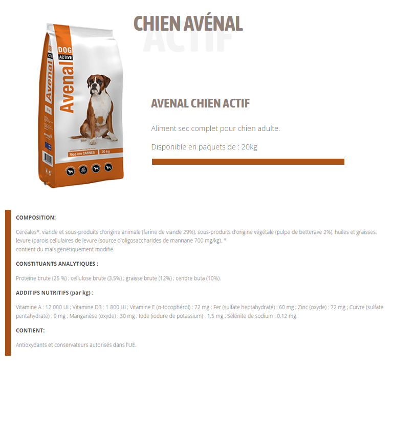 Avenal Chien Actif