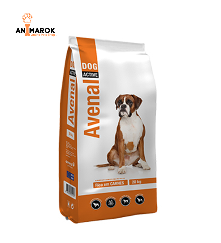 Avenal Chien Actif