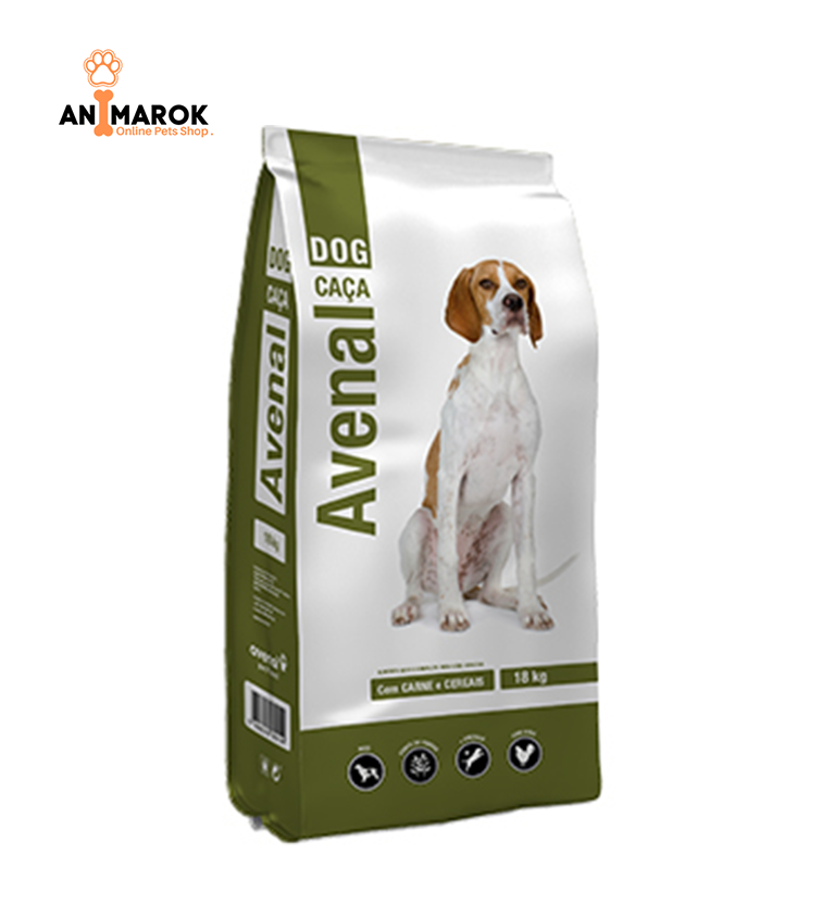 Avenal Chien De Chasse