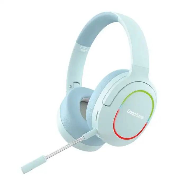 Microphone Portable R10