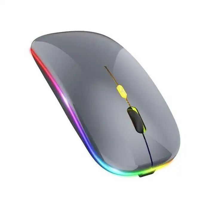 Souris Sans Fil Double Mode Bluetooth 5.1 Et 2.4g Ergonomique