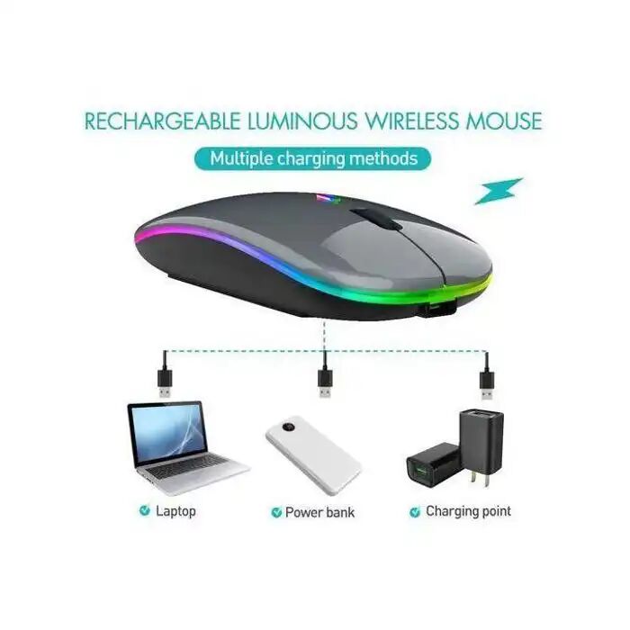 Souris Sans Fil Double Mode Bluetooth 5.1 Et 2.4g Ergonomique
